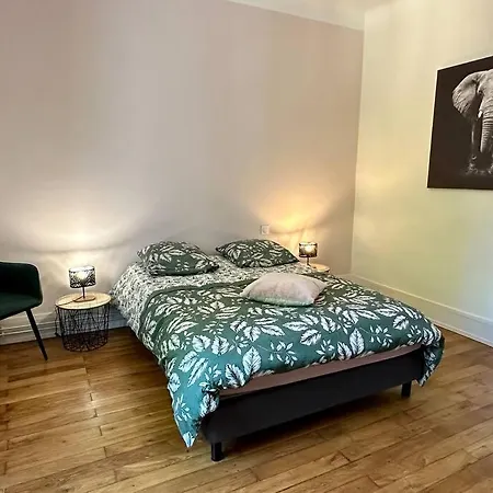 Chez Delphine Apartment Bourg-en-Bresse